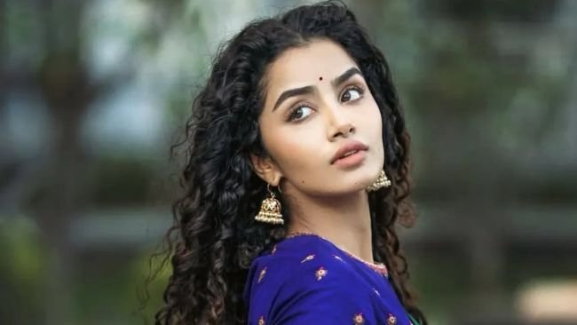 పెళ్లికి ముందే బిడ్డ కావాలనే కోరిక ఉండేది.. నటి అనుపమ పరమేశ్వరన్ సంచలన వ్యాఖ్యలు