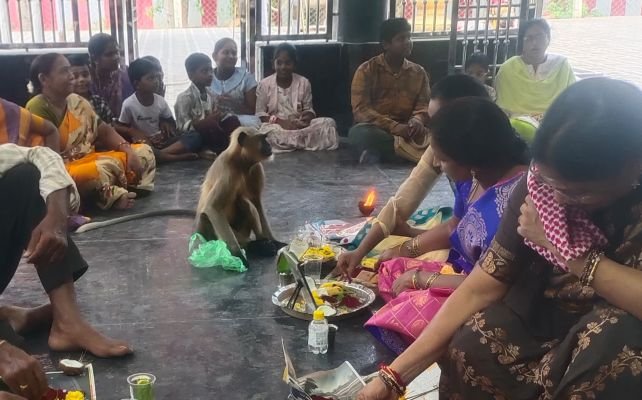 అమ్మవారి సన్నిధిలో కొండముచ్చు.. అబ్బురపరిచిన దృశ్యం!