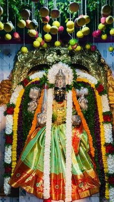 ఘనంగా శరన్న నవరాత్రి ఉత్సవాలు