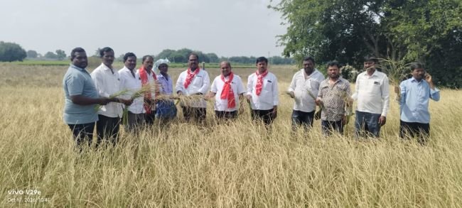 ఎండుతున్న పంటలకు ఎకరాకు రూ. 25 వేల పరిహారం ప్రకటించాలి