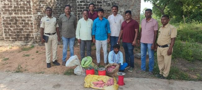 టాస్క్ ఫోర్స్ పోలీసుల మెరుపు దాడి...  బ్లాస్టింగ్‌కు ప్రయత్నిస్తున్న వ్యక్తి అరెస్ట్