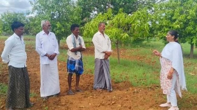 80 శాతం రాయితీతో ఉద్యాన పంటలకు నీటి సరఫరా