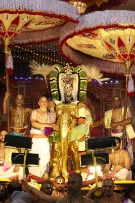 గజవాహనంపై గోవిందుడి దివ్య కటాక్షం.