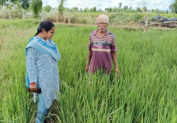 వరి పంటలకు ఆశించే తెగుళ్లపై రైతులు అప్రమత్తంగా ఉండాలి