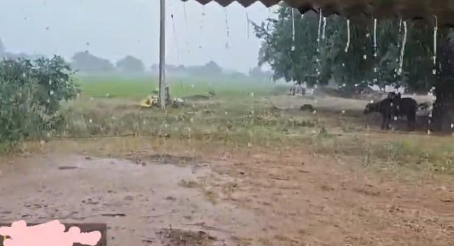 బొంరాస్‌పేటలో భారీ వర్షం
