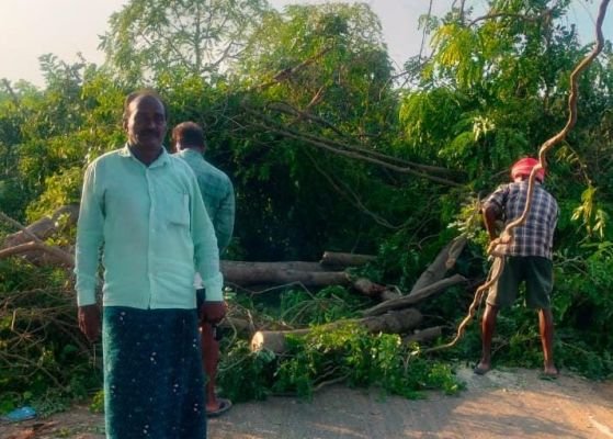 రోడ్డుకు అడ్డంగా ఉన్న చెట్లను తొలగించిన సర్పంచ్, ఉప సర్పంచ్