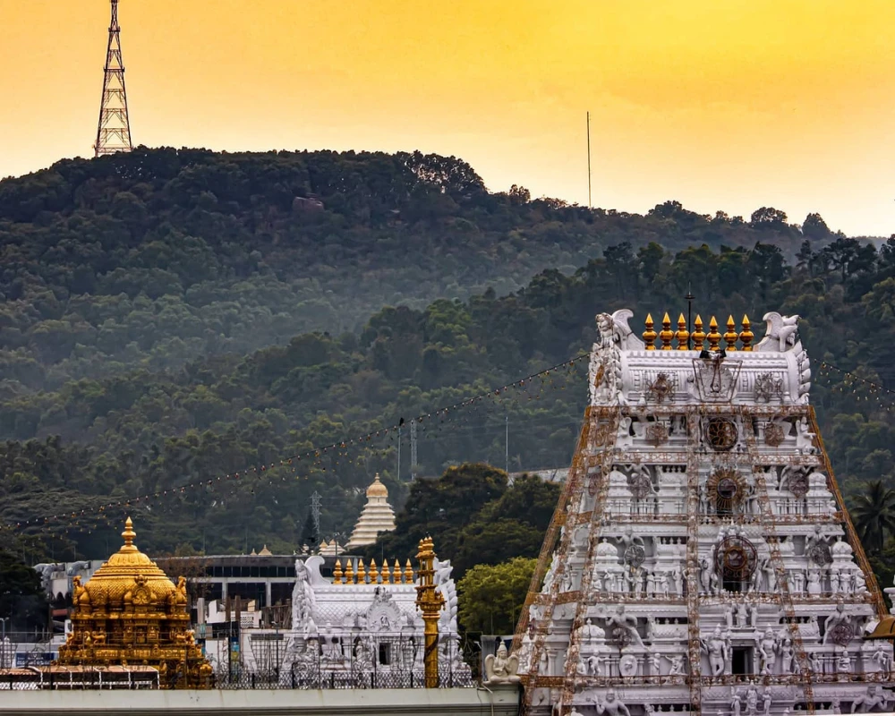తిరుమలలో నేటి ఉదయం స్వర్ణ రథోత్సవం.. రాత్రి అశ్వ వాహనంపై శ్రీనివాసుడు