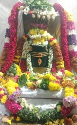 అగస్తీశ్వర స్వామికి ప్రత్యేక పూజలు!