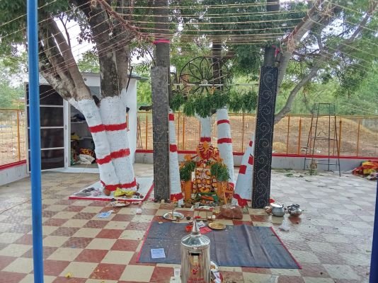 వి ఎస్ ఆర్ సీ ఫుడ్స్ ఆధ్వర్యంలో "మొలకపోలేరమ్మ "కు ప్రత్యేక పూజలు