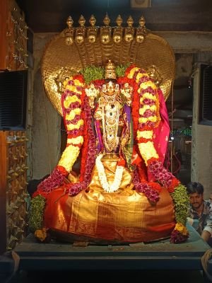 నవరాత్రి బ్రహ్మోత్సవాలు భాగంగా దేవుని కడపలో చిన్న శేష  వాహనం కార్యక్రమం