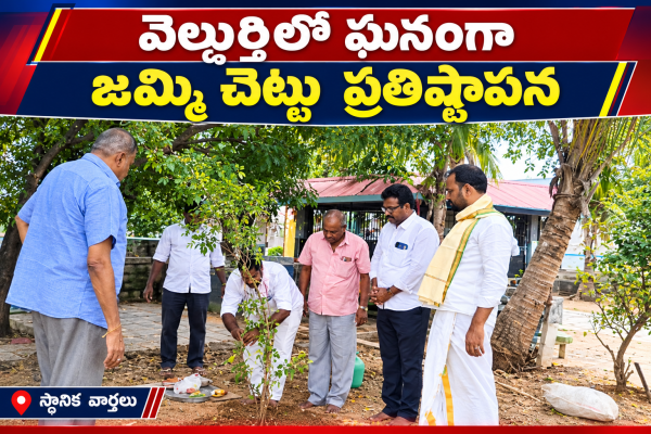 వెల్దుర్తిలో ఘనంగా జమ్మి చెట్టు ప్రతిష్టాపన