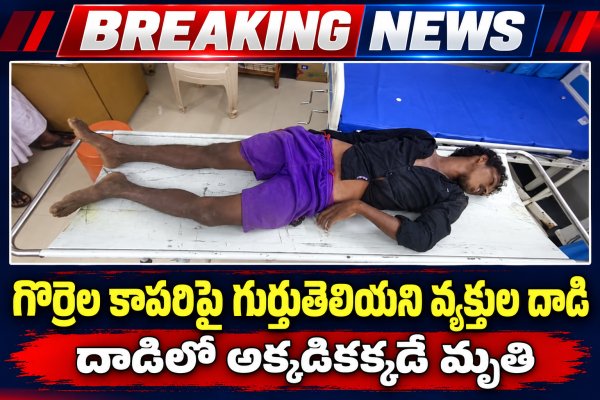 గొర్రెల కాపరి పై గుర్తుతెలియని వ్యక్తులు దాడి అక్కడికి అక్కడే మృతి....