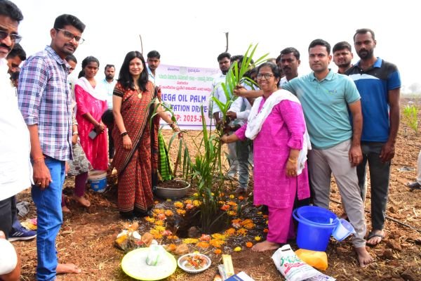 అర్హులకు సంక్షేమ పథకాలు.. అందరికీ అభివృద్ధి ఫలాలు..జిల్లా కలెక్టర్ గరిమ అగ్రవాల్ ఏడాది పాలనపై ప్రత్యేక కథనం