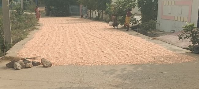 రోడ్డుపైనే మక్కలు-ప్రయాణికులకు ఇక్కట్లు