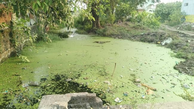 డ్రైనేజీ సమస్యపై అధికారుల నిర్లక్ష్యం..! - దుర్వాసనతో ప్రజల అవస్థలు