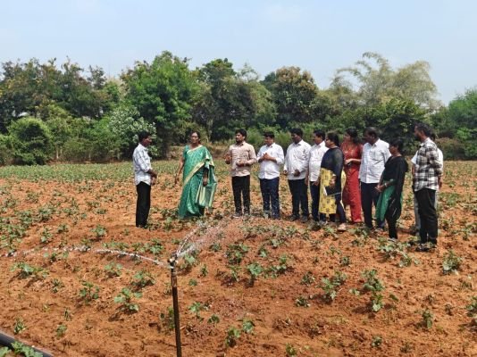 ఎల్-నినో పరిస్థితులను ఎదుర్కొనేందుకు పంటల మార్పు తప్పనిసరి….