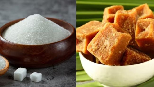 పంచదారకు బదులు బెల్లం వాడటం ఆరోగ్యానికి నిజంగానే మంచిదా.. నిపుణులు ఏమంటున్నారంటే?