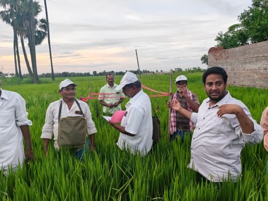 పేటేరు గ్రామంలో పొలంబడి కార్యక్రమం 