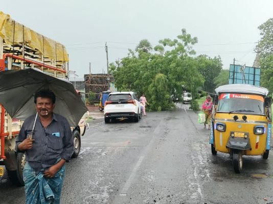  ప్రధాన రహదారిపై భారీ వృక్షం నేలకూలి ట్రాఫిక్‌కు అంతరాయం