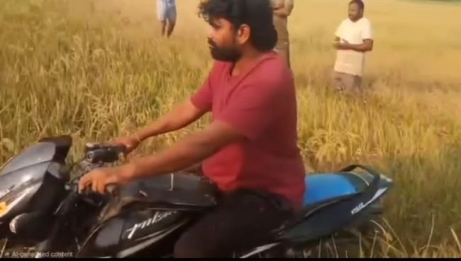 ఎండిన వరి చేను... యువరైతు వినూత్న నిరసన, సాగునీరు, విద్యుత్ అందక మూడు ఎకరాలలో ఎండిన పంట, పెట్టుబడి కూడా దక్కదని ఆవేదన