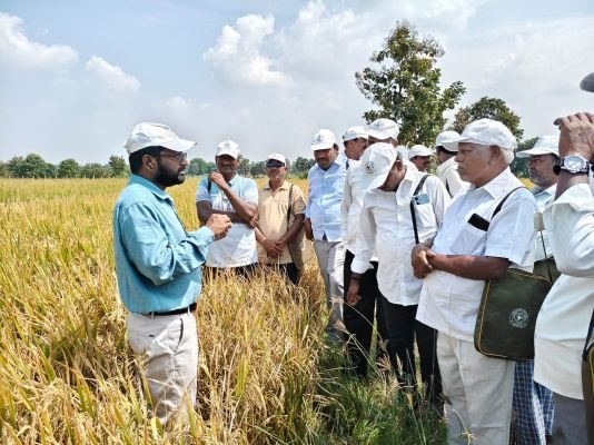 ఆరుతడి పంటలు సాగుతో మేలు