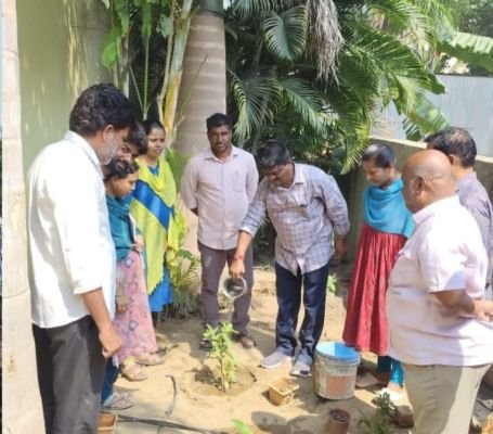 అభివృద్ధి పనులను పరిశీలించిన ఎంపీడీవో