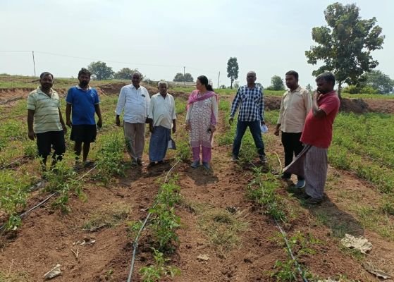 నీటి లభ్యతకు అనుగుణంగా రైతులు పంటల సాగు చేపట్టాలి - జిల్లా ఉద్యానవన శాఖ అధికారి జ్యోతి