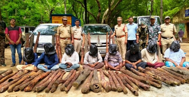 స్మగ్లర్ల పై టాస్క్ ఫోర్స్ దాడి  -61 ఎర్రచందనం దొంగలు పట్టివేత  -8 మంది స్మగ్లర్లు తో పాటు ట్రాక్టర్ రెండు కార్లు సీజ్