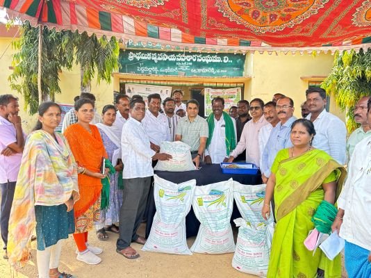 సబ్సిడీ శనగ విత్తనాలను రైతులు సద్వినియోగం చేసుకోవాలి - అదనపు కలెక్టర్ వై వి గిరి