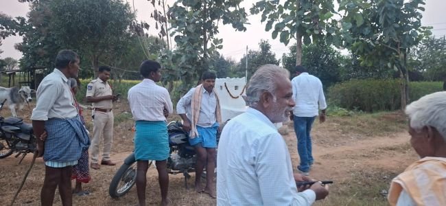మల్లారెడ్డిపల్లిలో పశువుల చోరీ