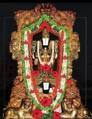 ఆదివారం శ్రీవారి కల్యాణం 