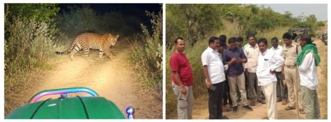 చిరుత సంచారంపై ఏఐ ఫోటోలు పెడితే కఠిన చర్యలు.. 