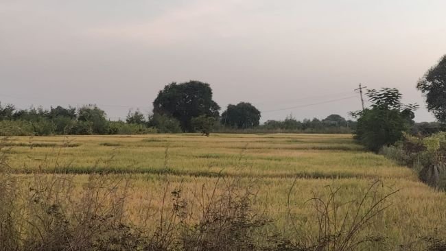 మల్కాపూర్‌ అసైన్డ్‌ భూములపై అంతుచిక్కని భూసేకరణ వ్యవహారం!