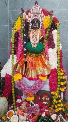 కంచుకుంటలో పెద్దమ్మ , పోతులయ్య స్వామి విగ్రహ ప్రతిష్ట