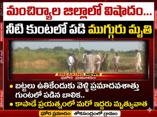 నీటి కుంటలో పడి ముగ్గురు మృతి.. మంచిర్యాల జిల్లాలో విషాదం