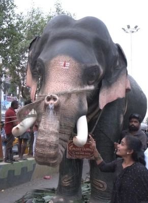 ఈరోజు మా తాడేపల్లిగూడెం కి ఏనుగు వచ్చిందని మీకు తెలుసా