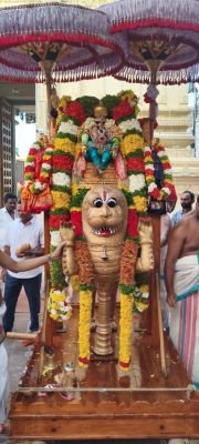 అంగరంగ వైభవంగా శ్రీనివాసుని కళ్యాణం