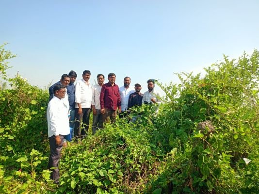 రీ సర్వేలో మూడు గ్రామాల సరిహద్దుల నిర్ధారణ