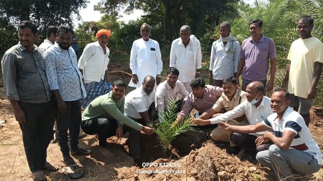 రజాక్ పల్లి లో 700 ఈత మొక్కల నాటిన ఎక్సైజ్ అధికారులు…