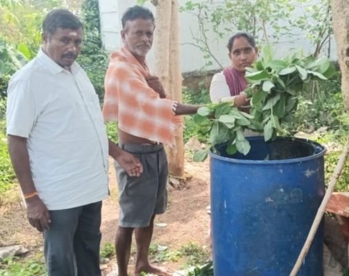 జిల్లేడు ద్రావణంతో పంటలకు సహజ రక్షణ