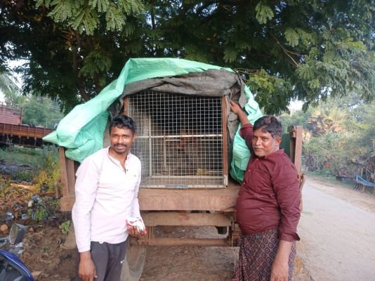 కోతుల బెడదకు చెక్ పెట్టిన ప్రగల్లపల్లి సర్పంచ్.