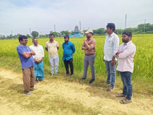 వరి పంటను పరిశీలించిన సహాయ వ్యవసాయ సంచాలకులు (ADA) ఎస్. అనిల్ కుమార్ గారు   ఎర్రవల్లి గ్రామంలో వరి పంటను సహాయ వ్యవసాయ సంచాలకులు శ్రీ ఎస్. అనిల్ కుమార్ గారు పరిశీలించారు. ఈ సందర్భంగా ఎల్ నినో ప్రభావంతో వర్షపాతం తక్కువగా ఉండే అవకాశం ఉన్నందున, యాసంగి సీజన్‌లో అధిక నీటి అవసరం ఉన్న వరి పంటకు బదులుగా తక్క