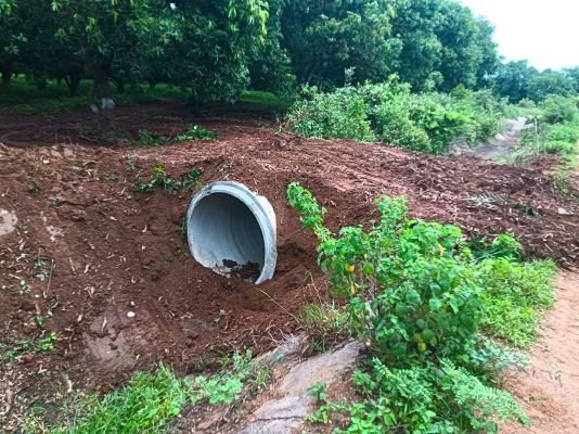 డీబీఎం-4 కాలువలో అక్రమ పైప్‌లైన్లు-న్యాయం కోసం కోర్టును ఆశ్రయించిన పాకాల శ్రీలక్ష్మి