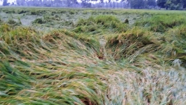 రైతులను అతలాకుతులం చేసిన తుఫాన్