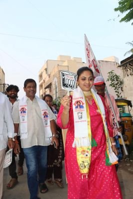 మీ ఇంటి ఆడబిడ్డ లు ఆదరించండి. గెలిపిస్తే అందుబాటులో ఉంటా. షాహిన