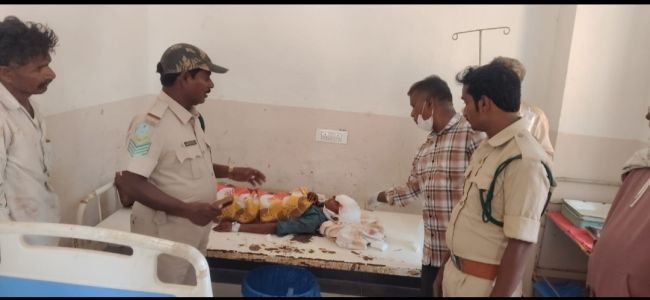 ఎలుగుబంటి దాడిలో గొర్రెల కాపరికి తీవ్ర గాయాలు.