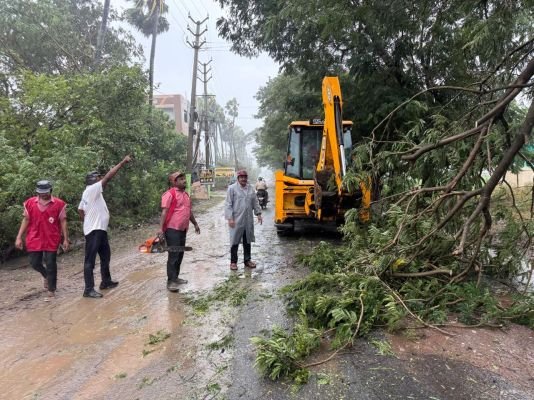 చల్లపల్లి-విజయవాడ రోడ్డుపై విరిగిపడిన చెట్లు తొలగింపు