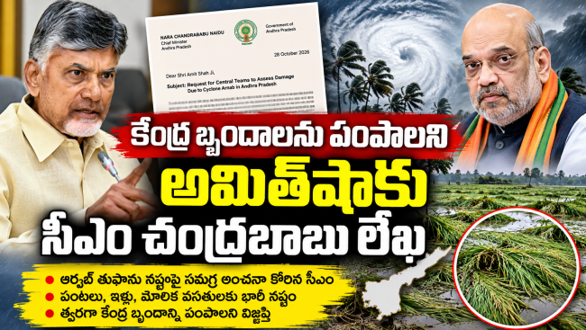 ఆర్నబ్‌ తుఫాను దెబ్బ.. 81,350 హెక్టార్లలో పంట నష్టం