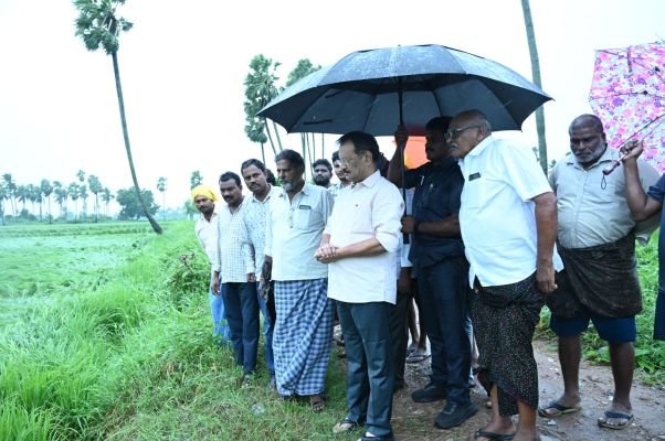 నేలకొరిగిన వరి పొలాలను పరిశీలించిన ఎమ్మెల్యే ఆనందబాబు 