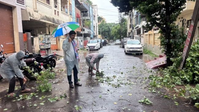 49 వ వార్డులో పడిపోయిన చెట్లను తొలగింపు